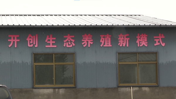 8.png