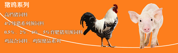 10.png